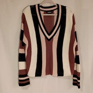Express Women's Cotton Blend V Neck Striped Sweater